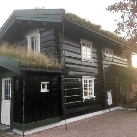 Tommerhus Naer Tusenfryd Utenfor Oslo. As