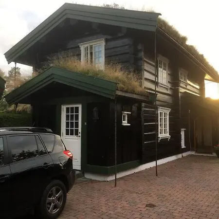 Tommerhus Naer Tusenfryd Utenfor Oslo.