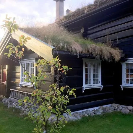 Tommerhus Naer Tusenfryd Utenfor Oslo. Villa As