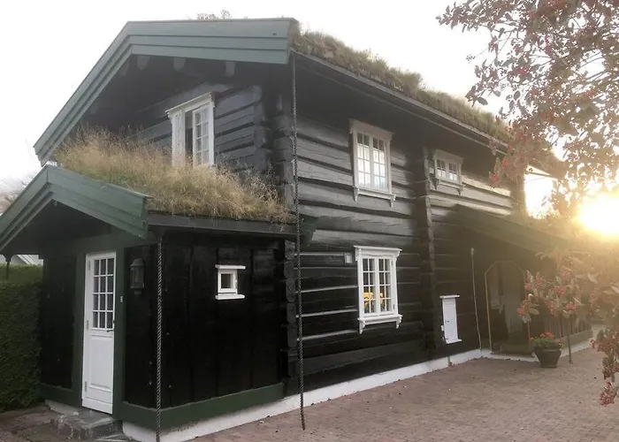 Tommerhus Naer Tusenfryd Utenfor Oslo. As