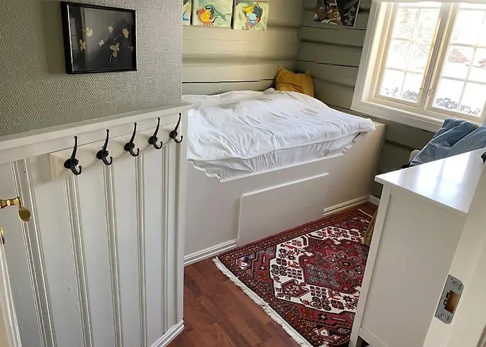 Villa Tommerhus Naer Tusenfryd Utenfor Oslo. *