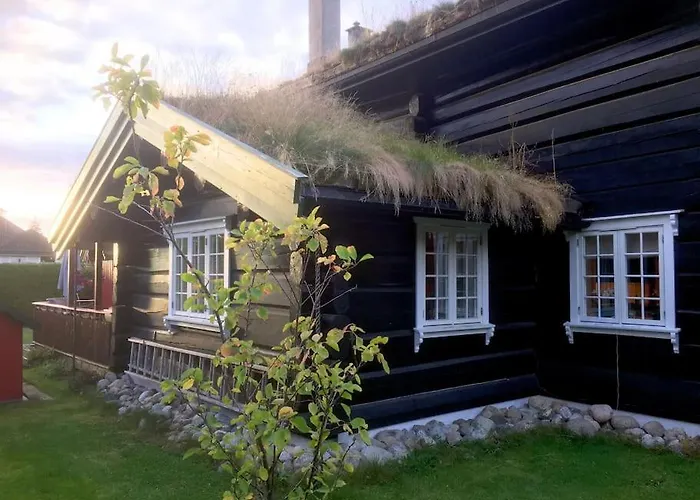 Tommerhus Naer Tusenfryd Utenfor Oslo. Villa As