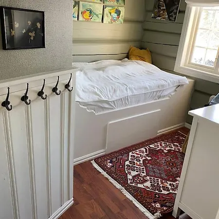 Villa Tommerhus Naer Tusenfryd Utenfor Oslo. *