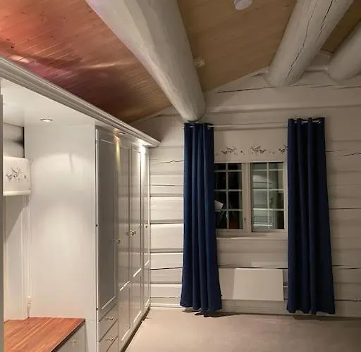 Tommerhus Naer Tusenfryd Utenfor Oslo. As